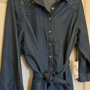 Long Denim Button Tunic/Dress